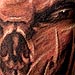 tattoo galleries/ - Freehand skull - 12442